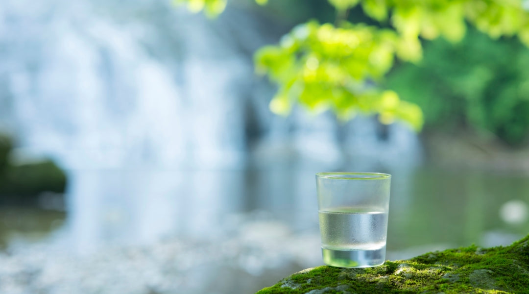 Einsparung von Wasser durch den Einsatz von Water-Saver-Technologie