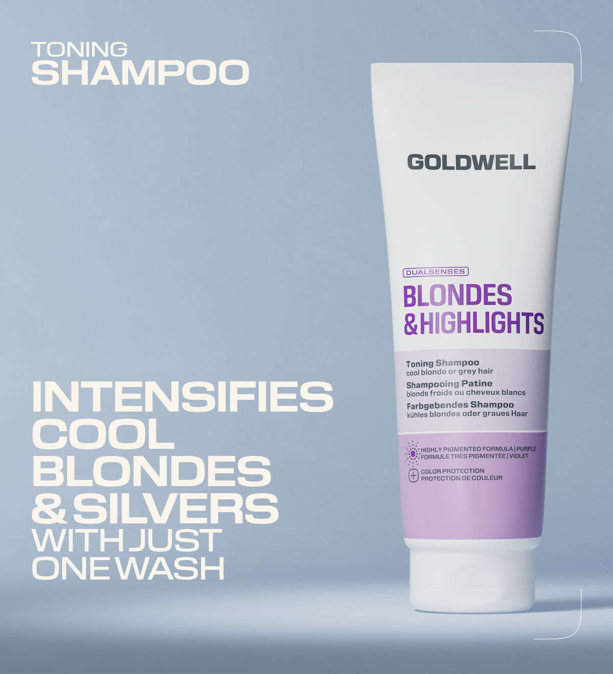 Goldwell Dualsenses Blondes & Highlights Farbgebendes Shampoo 250 ml