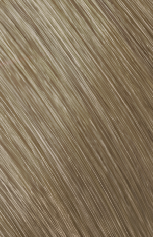 GOLDWELL TOPCHIC TUBE 8NA - light natural ash blonde 60 ml