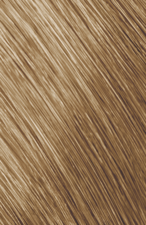 GOLDWELL TOPCHIC TUBE 9GB - Sahara blonde extra light beige 60 ml