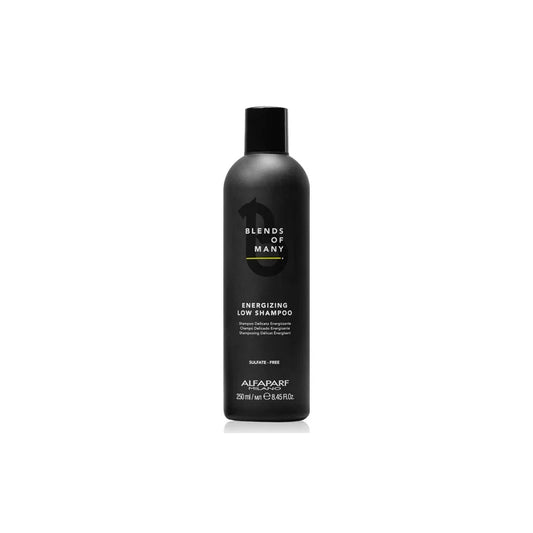 Alfaparf Blends of Many Energizing Low Shampoo 250ml (für Herren)