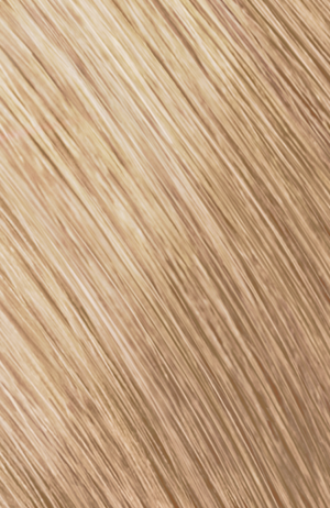 Goldwell Topchic Tube 60 ml, Haarfarbe 10GB